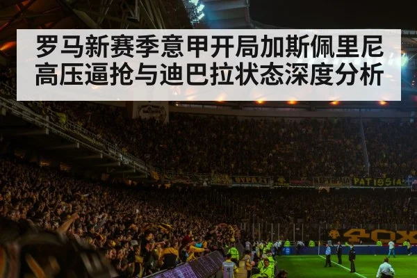football stadium night crowd